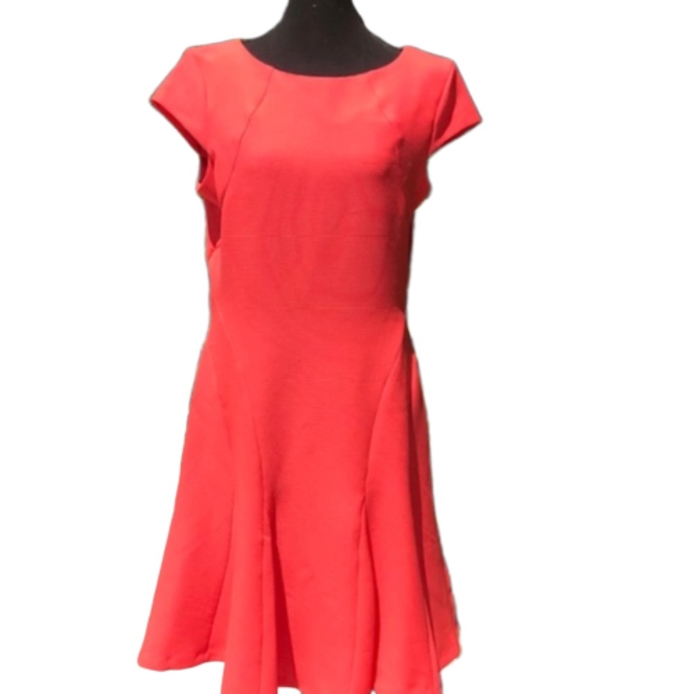 Studio One Fit & Flare Dress NWT